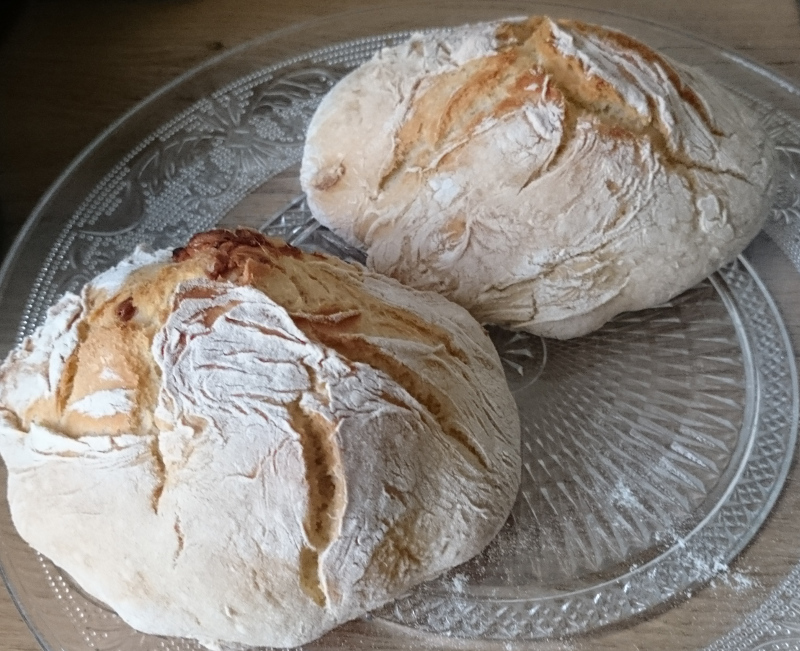 selbstgebackene Brötchen - der Teig konnte im Gärkörbchen gehen